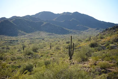 DSC_1829 (Large).JPG